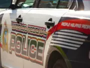 Cambridge Man Charged After Dog Seriously Injured in Stabbing Incident