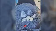 Cambridge Man Charged After Police Find Driver Asleep with Drugs