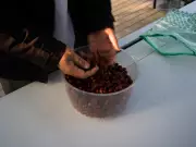 Can Coffee Thrive in the Shadow of the City? Urban Farming Challenges