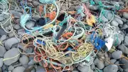 Canada Launches Ghost Gear Fund to Combat Marine Debris on BC Shores