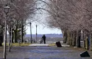 Canada's New Flood Risk Tool Exists but Not Yet Searchable