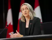 Canada's top doctor to update on Ebola and hantavirus today