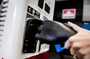 Canada's Zero-Emission Vehicle Sales Surge 75% Amid High Gas Prices and Rebates