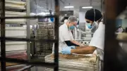 Canadian Wholesale Sales Rise in March: Statistics Canada
