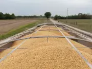 China Commits $17B Annually to U.S. Agriculture Through 2028