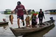 Climate Change Reducing Oxygen in Rivers Worldwide, Study Finds