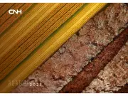 CNH Announces 2026 AGM Voting Results and Publishes 2025 Sustainability Report