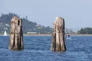 Comox Valley Issues Sewer Use Warning Due to Ongoing Emergency