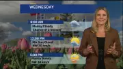 Cooler, Calmer Weather Returns to London, Ont. After Severe Storms
