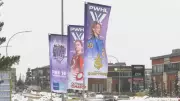 Could Edmonton Land a Professional Women's Hockey Team?