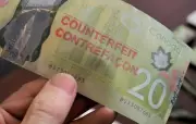 Counterfeit $20 Bills Circulating in Barrie, Police Warn