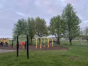 Coyote Bites Child at Markham Park: Public Safety Warning Issued
