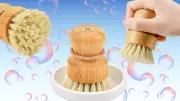 Ditch Your Gross Kitchen Sponge for These Bamboo Brushes