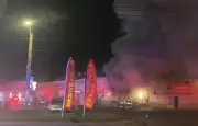 Driver Sought After Car Crashes into Fireworks Store, Igniting Massive Blaze in Etobicoke