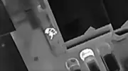 Drone Video Shows Suspect Hiding from Police in Pickering Before Arrest