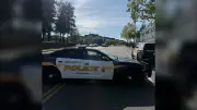 Drunk Driver Arrested After Striking Pedestrian in Abbotsford