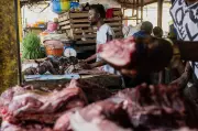 Ebola Outbreak in Congo Linked to Bushmeat Consumption, Experts Warn