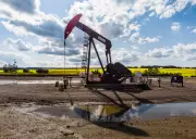 Economy Surpasses Environment as Top Concern for Canadians: Poll