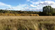 Edmonton Park and Footbridge Closed Monday for Controlled Burn