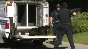 Edmonton Tightens Pet Bylaw for Vicious Dogs and Feral Cats