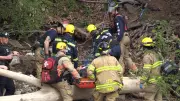 Elderly Man Rescued After Falling Down Thames River Embankment in London