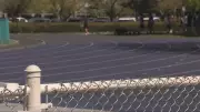 Elementary Track Meet Changes Spark Backlash in Richmond, B.C.