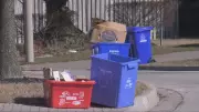 Essex-Windsor Residents Save Over 28 Tonnes of Old Recycling Bins from Landfill