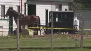 Father Who Killed Son with Axe May Return to Mennonite Community