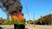 Firesmart Volunteers Aim to Prevent Urban Wildfires in Vancouver