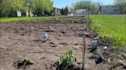 First Major Heat Wave of Season Hits Prairie Provinces