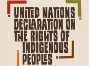 First Nations stalling small projects, sidelining other stakeholders: Kennedy-Glans