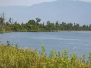 Flood Warnings and Evacuation Alerts Issued for B.C.'s Southern Interior