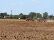 Food Security Starts with Protecting Ontario's Disappearing Farmland