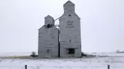 From Leaving to Returning: Saskatchewan's Transformation Over 28 Years