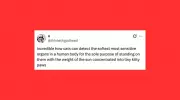 Funniest Pet Posts of the Week: Cats and Dogs at Their Best