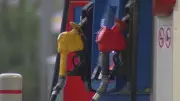 Gas and Diesel Prices Drop in New Brunswick and PEI