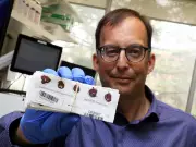 Genetic Testing at Birth? Ontario Study Explores Whole Genome Screening for Newborns