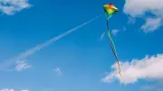 Granary Road's first kite festival takes off this weekend in Calgary