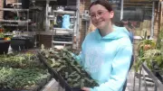Green Thumb Studies: Stayner Collegiate Students Host Plant Sale