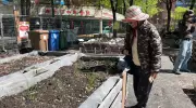 Groups Push to Preserve Unique Indigenous-Asian Garden in Montreal's Chinatown