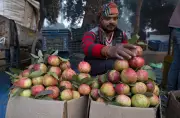 Guava Juice May Lower Anemia Risk in Women, Study Finds