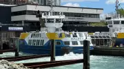 Halifax council rejects free ferry service as 'goodwill' gesture amid disruptions