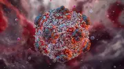 Hantavirus Outbreak Sparks Misinformation: Experts Urge Calm and Trust in WHO