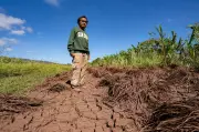 Hawaii's Worst Flooding in 20 Years Devastates Farms, Reducing Vegetable Supply