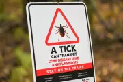Health Unit Warns of Changing Tick Risks in Simcoe County