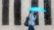 Heavy Rain, Strong Winds Expected in GTA This Weekend: Environment Canada