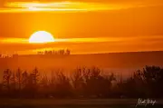 Heavy Rainfall Expected in Southern Alberta, Flood Risk Rises