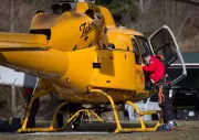 Hiker and Aggressive Dogs Rescued by Helicopter in North Shore Mountains