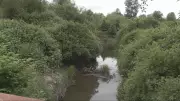 Human remains found near Nicomekl River in Langley park