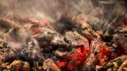 Italian Police: Crime Gang Made BBQ Briquettes from Toxic Ashes